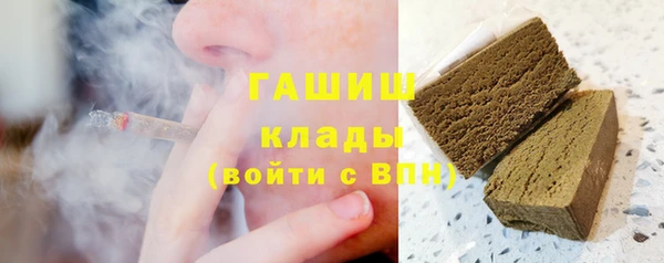 гашик Алексеевка
