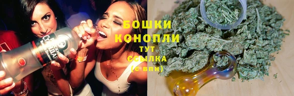 прущие грибы Нижневартовск