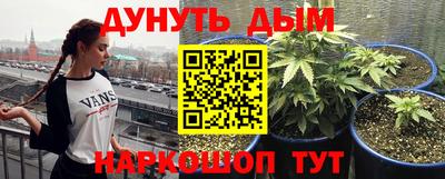 мдма Новодвинск
