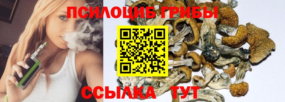 Псилоцибиновые грибы Psilocybine cubensis Чистополь