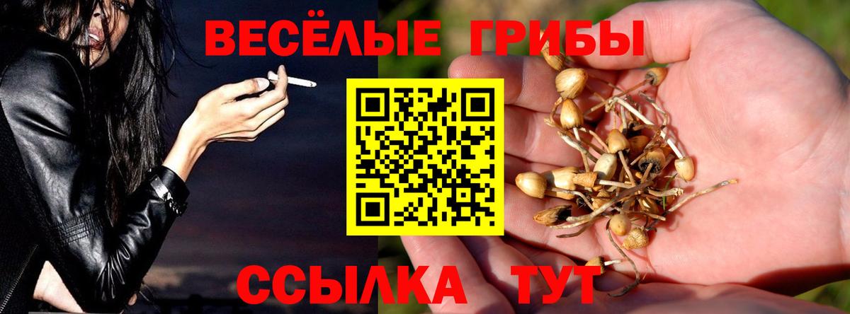 Чистополь  Галлюциногенные грибы ЛСД  купить наркоту  Вход с VPN 